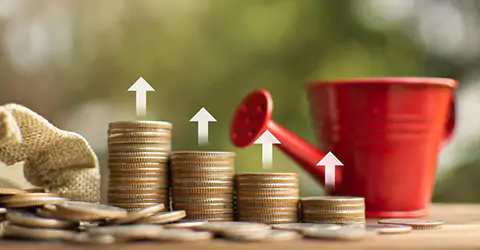 Investment Journey